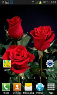 Beautiful Roses LWP Screen Shot 2
