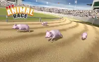 Pet Animals Race Screen Shot 2