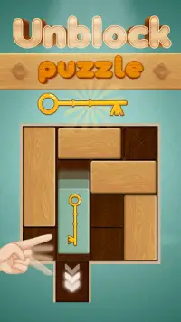 Impossible Unblock Puzzle - Pin Block Board Game Screen Shot 0