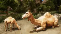 Ultimate Camel Simulator Screen Shot 2