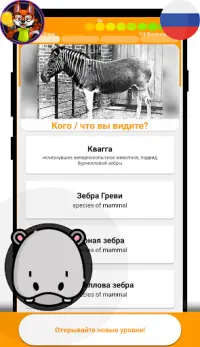 Зоопарк Викторина (русский) Screen Shot 5