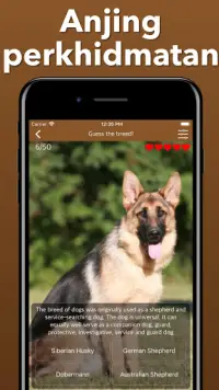 Anjing anjing Meneka Kuis Anjing - Quiz Screen Shot 6