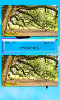 Find Differences Birds Screen Shot 5