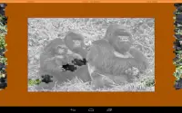 Animals Puzzle - Jungle Screen Shot 13
