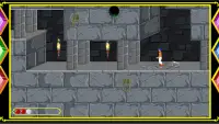 Prince in dungeon of persia Screen Shot 0