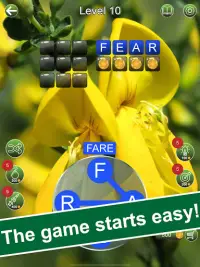 Word Bloom - Brain Puzzles Screen Shot 9