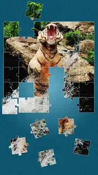 Tigers Jigsaw Puzzle Screen Shot 14