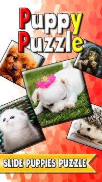 Puppy Slide Puzzle: free cute puppy puzzle game Screen Shot 0