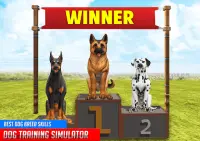 Hundetraining: Hundespiele 3D Screen Shot 14