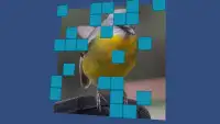 Wordsearch Revealer - Birds Screen Shot 1