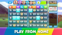 Bingo Odyssey - Offline Games Screen Shot 2