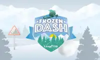 Frozen Dash Screen Shot 0