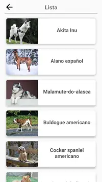 Cachorros - Quiz sobre todas as raças populares Screen Shot 7