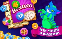 Bingo Wonderland Screen Shot 5