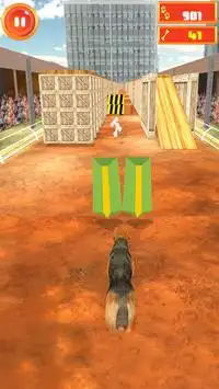 Crazy Dog Surfer - Endless Run Screen Shot 2