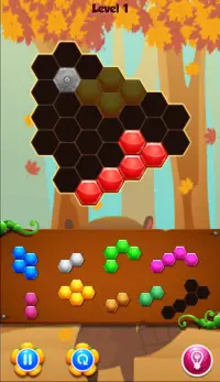 Beaver Hexa Puzzle Game Screen Shot 3