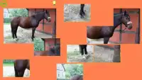 子供のための馬のパズル Screen Shot 1