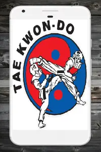 Taekwondo Screen Shot 0