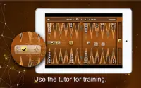 Backgammon Gold Screen Shot 12