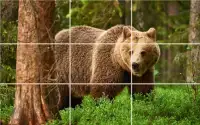Tile Puzzle - Bears Screen Shot 5