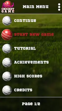 Blind Cricket Screen Shot 0