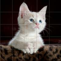Picture Puzzle Free Game For Android