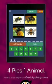 4 Pics 1 Animal Screen Shot 6