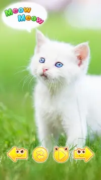 Cute animal pictures & animal  Screen Shot 0