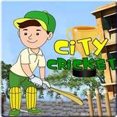 City Cricket