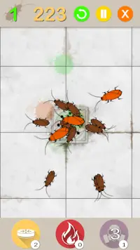 Roaches in Frenzy Screen Shot 4