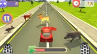 RoadKill Race Simulator Screen Shot 1