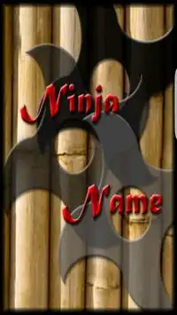 Nombre Ninja Screen Shot 7