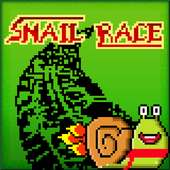 Snail Race