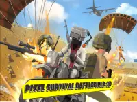 Pixel Survival Battlefield:3D Screen Shot 0