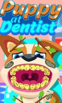 치과 의사 Screen Shot 5
