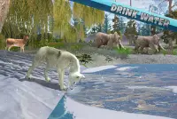 Arktik Kurt Ailesi Simülatörü Screen Shot 4