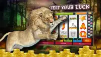 Safari Lion Slot Machine Games - Free Casino APP Screen Shot 0