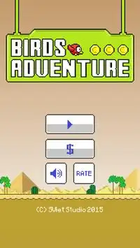 Birds Adventure Screen Shot 3