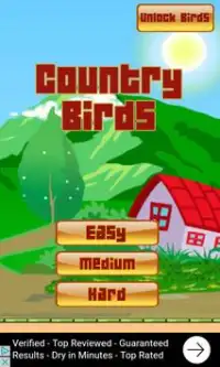 Country Birds Screen Shot 0