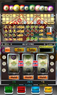 bingo máquina slot livre Screen Shot 1