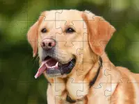 Teka-teki Jigsaw Anjing 🧩🐕🧩🐶🧩 Screen Shot 3