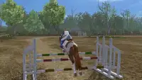 Horse Jumping Master - JumpingShow Screen Shot 6