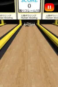 Human Bowling Screen Shot 2