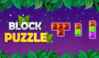 Block Puzzle Game: Jigsaw Puzzle, Jewel Puzzle Screen Shot 5