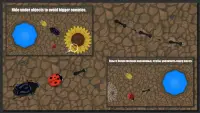 Ant Evolution Game : Insect Life Simulator Screen Shot 0