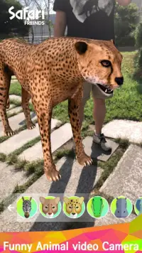 Safari Friends - AR Animal Screen Shot 7