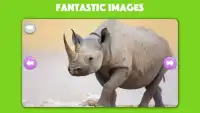 Animals Photo Jigsaw Puzzle for kids & toddlers Screen Shot 0