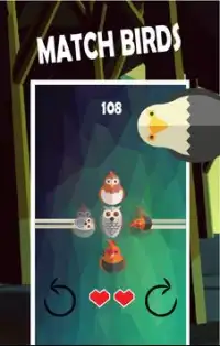 Birds Of A Feather- Match Game Screen Shot 2