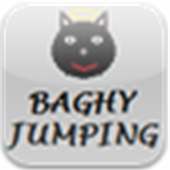Baghy Jumping (cat jump)