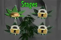 Hydro Weed Grow Screen Shot 4